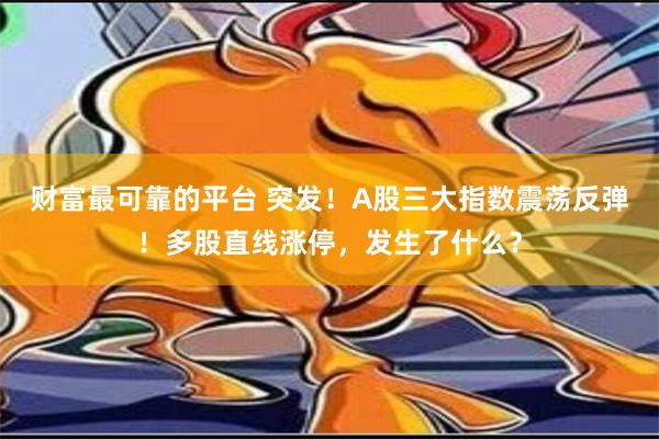 财富最可靠的平台 突发！A股三大指数震荡反弹！多股直线涨停，发生了什么？