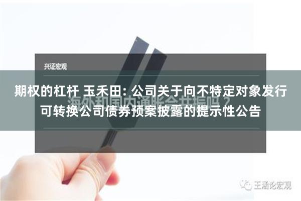 期权的杠杆 玉禾田: 公司关于向不特定对象发行可转换公司债券预案披露的提示性公告