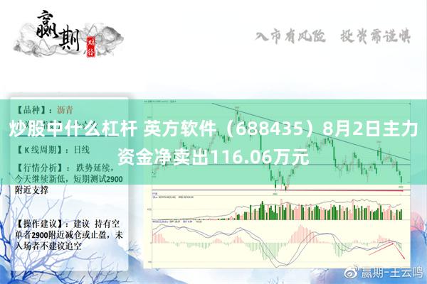 炒股中什么杠杆 英方软件（688435）8月2日主力资金净卖出116.06万元