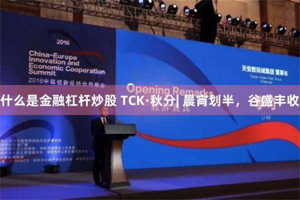 什么是金融杠杆炒股 TCK·秋分| 晨宵划半，谷盛丰收