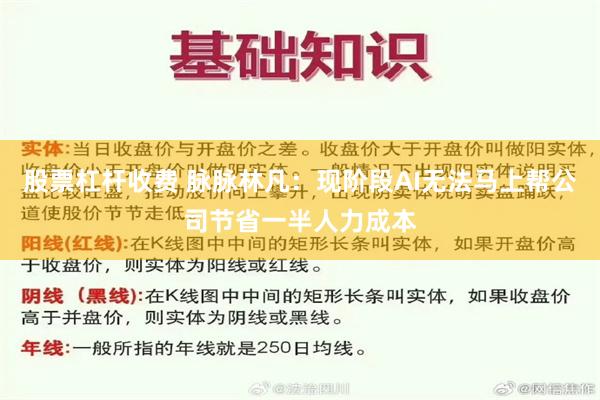 股票杠杆收费 脉脉林凡：现阶段AI无法马上帮公司节省一半人力成本