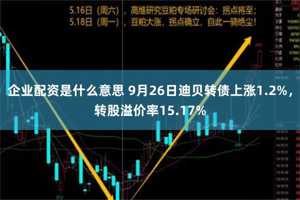 企业配资是什么意思 9月26日迪贝转债上涨1.2%，转股溢价率15.17%