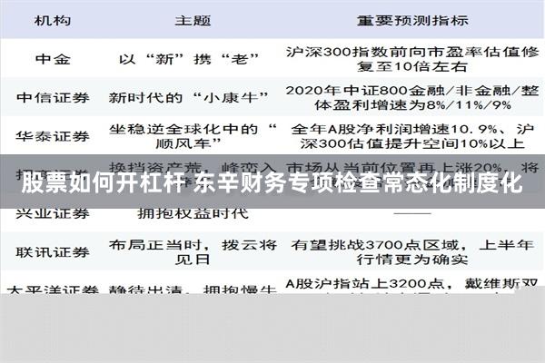 股票如何开杠杆 东辛财务专项检查常态化制度化