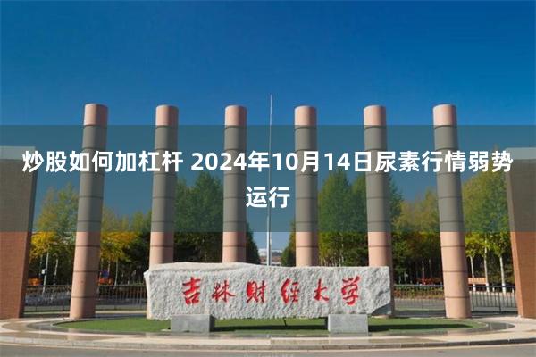 炒股如何加杠杆 2024年10月14日尿素行情弱势运行