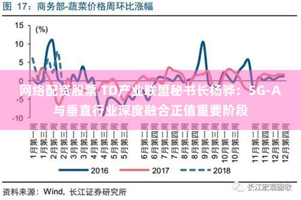 网络配资股票 TD产业联盟秘书长杨骅：5G-A与垂直行业深度融合正值重要阶段