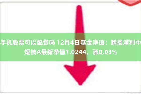 手机股票可以配资吗 12月4日基金净值：鹏扬浦利中短债A最新净值1.0244，涨0.03%