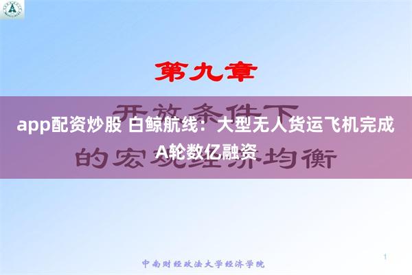 app配资炒股 白鲸航线：大型无人货运飞机完成A轮数亿融资