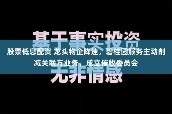 股票低息配资 龙头物企降速，碧桂园服务主动削减关联方业务，成立催收委员会